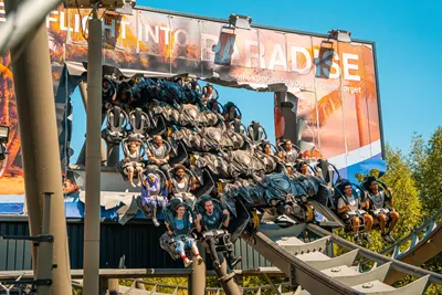 Guests going through the sign on The Swarm