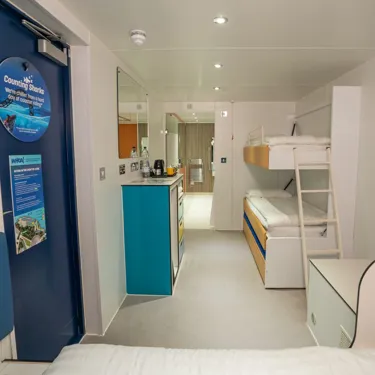 Standard Shark Cabin