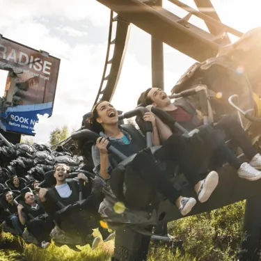 The Swarm Rollercoaster Billboard Near Miss Closeup