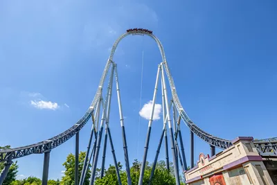Guests at the peak of Stealth