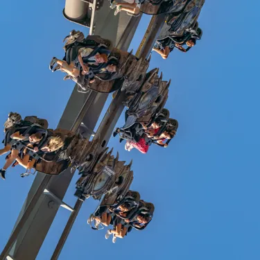 Rides The Swarm 4