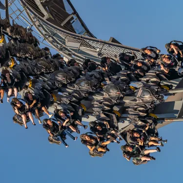 Rides The Swarm 3