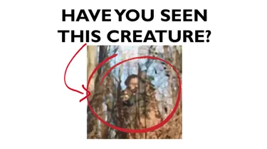 Have you seen this creature? With a distorted image