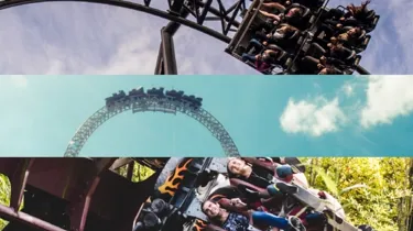 Vertical Collage Of Rollercoasters