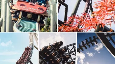 National Coaster Day Rollercoaster Collage