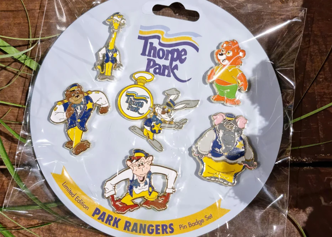 In Blog Post Image Rangers Pins