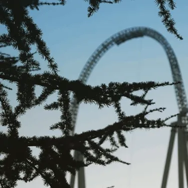 Stealth Rollercoaster, with a tree in focus in front of it 
