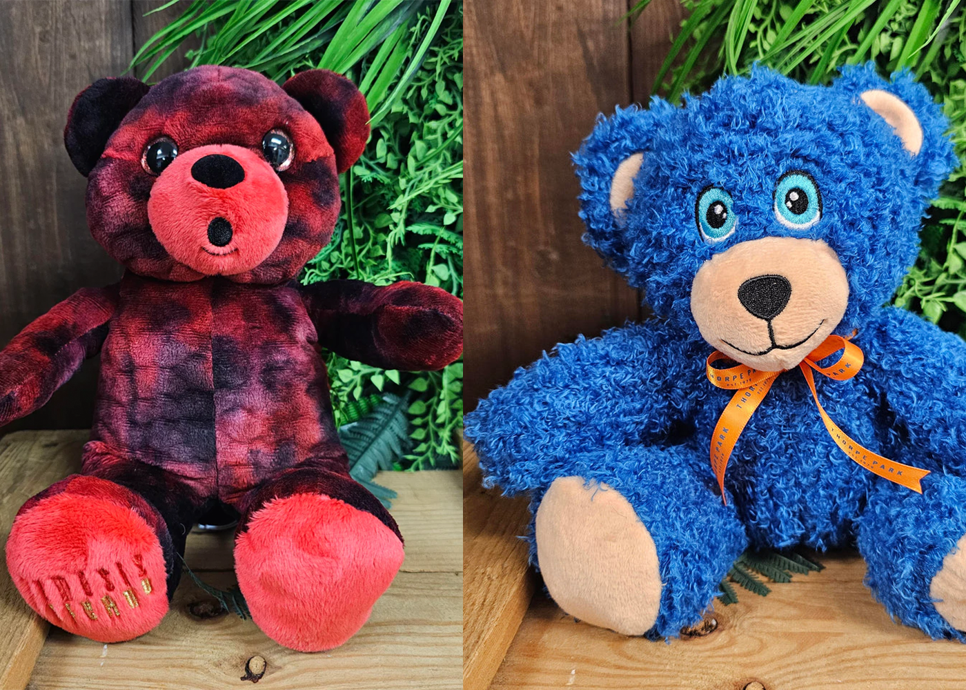 In Blog Post Image Teddy Bears